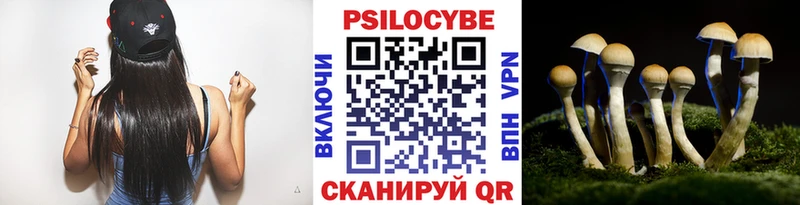 Псилоцибиновые грибы мухоморы  Бабаево 