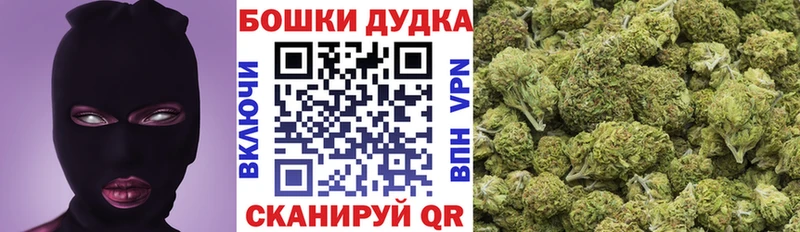 Конопля план  Бабаево 